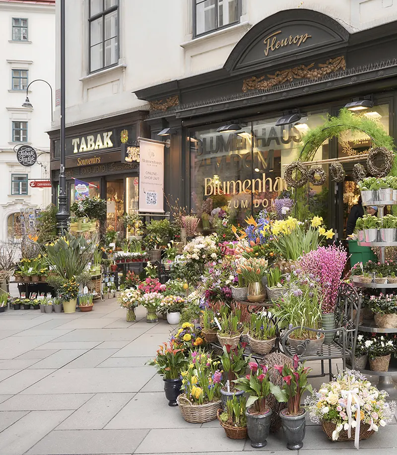 Blumenhaus Dom Wien